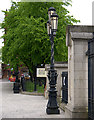 J3374 : Lamppost, Belfast City Hall by Rossographer