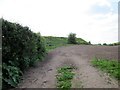 Earthwork off Borras Hall Lane