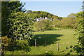 Farmland near Rhydyfelin