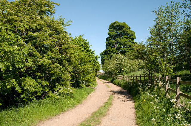 Lane east of minor road