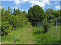 Footpath, Englefield Green