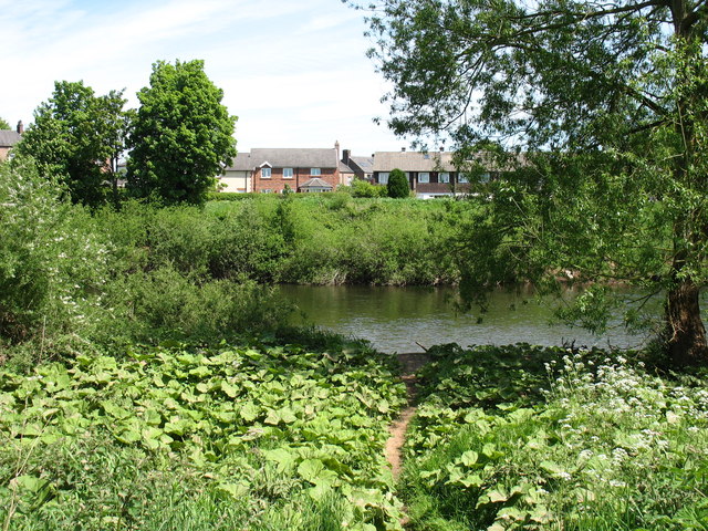 The River Eden in Carlisle