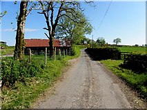 H6075 : Loughmacrory Road, Granagh by Kenneth  Allen