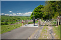 Cattle Grid at Bell Foot