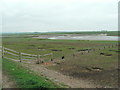 SD4352 : Boundary fence at Bank End on the Lune estuary by Raymond Knapman