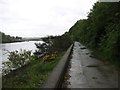 NZ2863 : The Hadrian's Wall Path beside the River Tyne by David Purchase
