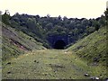 SK7425 : Scalford tunnel from the south by Richard Green