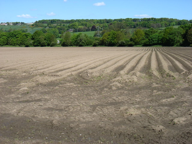 A ploughed field beside the River Tyne