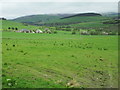 Farmland near Blairfindy