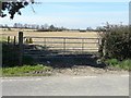 Field to west-northwest of Queen Street