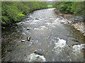 NJ1526 : Upstream on the River Avon by Jennifer Jones