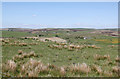 Upland scenery near Ramwells Farm