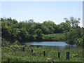 Pond at Ancroft Limeworks