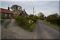 Houses in Bilton