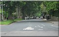 Gledhow Wood Road - viewed from Thorn Lane