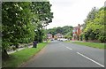 Coppice Way - Gledhow Wood Road