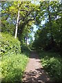 Tarka Trail north of Beare Bridge, Okehampton