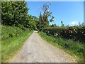 Tarka Trail near Beare Farm, Okehampton