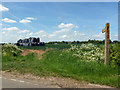 Footpath to Housham Tye