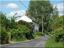 TL5202 : Cottages, Clatterford End by Robin Webster