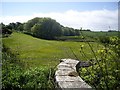 View to Pityot Wood