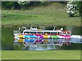 Tourist cruiser, Lough Erne