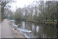 Basingstoke Canal