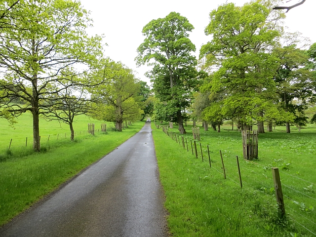 Road through Eslington Park