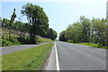 Road to Dumfries at Carsluith