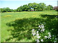 Field next to Wrotham Hill Road