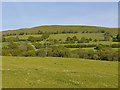 Fields near Nant-y-fforest