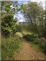 Footpath to Wey Manor Farm