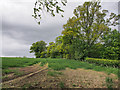 Field north-west of Bonhard