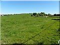 Carnanrancy Townland