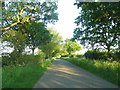 Collops Road, Stebbing