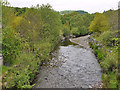 The Afon Cammarch in Beulah