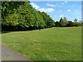 Grassy area beside Crofton Lane