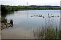 Disused pit now used for windsurfing and raising geese