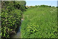 Stream at the edge of Marston Moretaine