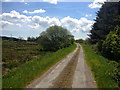 Chalybeate Road, Armaghbrague