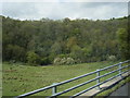 Round Hill seen from the A20 viaduct