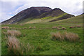 Rough grazing at Lanthwaite