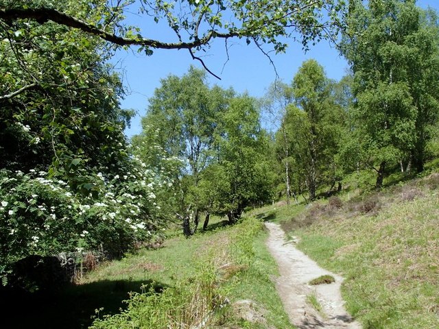 Birchen Edge footpath