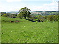 Descending to the North Tyne valley