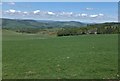 View northwesterly from the stile at Gala Rig