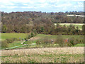 Lower Vicars Farm Valley