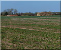 Footpath north towards Packington