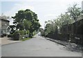 Back Lane - Spring Holes Lane