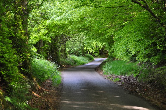 West Somerset : Country Lane © Lewis Clarke cc-by-sa/2.0 :: Geograph ...