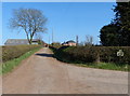 Driveway to Normanton Lodge Farm